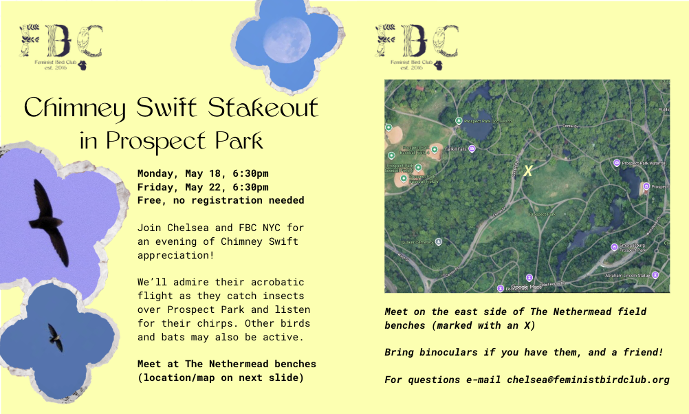 Event information is listed on a yellow-green background alongside silhouettes of flying Chimney Swifts and an almost-full moon. On the second slide, a map with an X marking the meeting location is displayed.